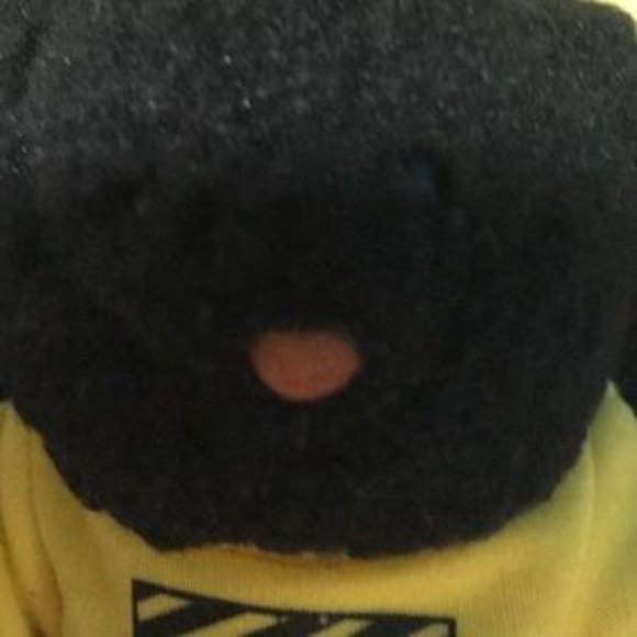 VTG & NEW 📌Cliffs Notes 36th of Series Cliffs Notes Collector’s Teddy Bear 1999 - Picture 7 of 11